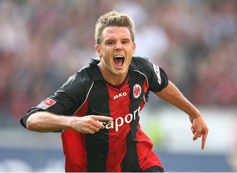 往往掺杂着 往往掺杂着